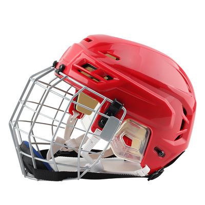 HSI 10 &nbsp;Ice Hockey Helmet
