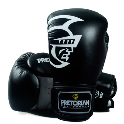 HBG 10 &nbsp;Boxing &nbsp;gloves