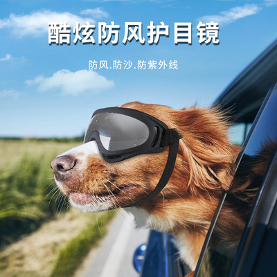 EPG 10 &nbsp;Pet glasses