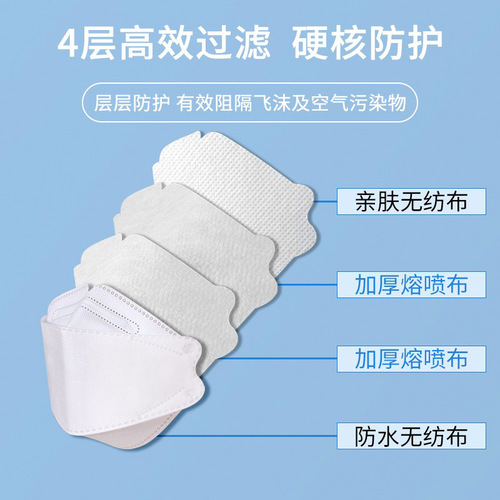 FLD 11  Disposable mask