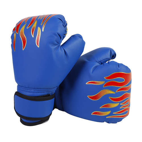HBG 12  Boxing  gloves